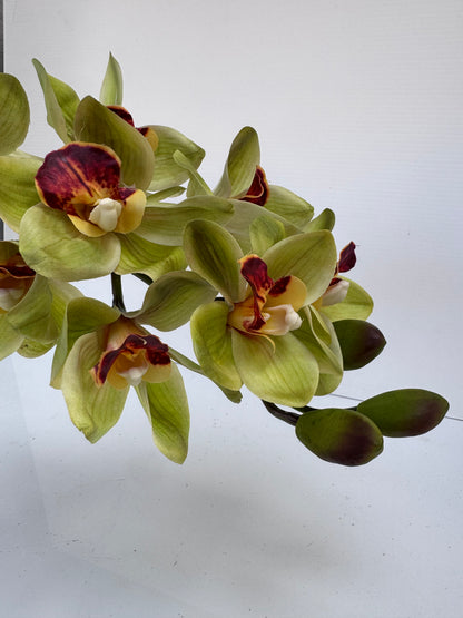 Premium Large Orchid Real Touch