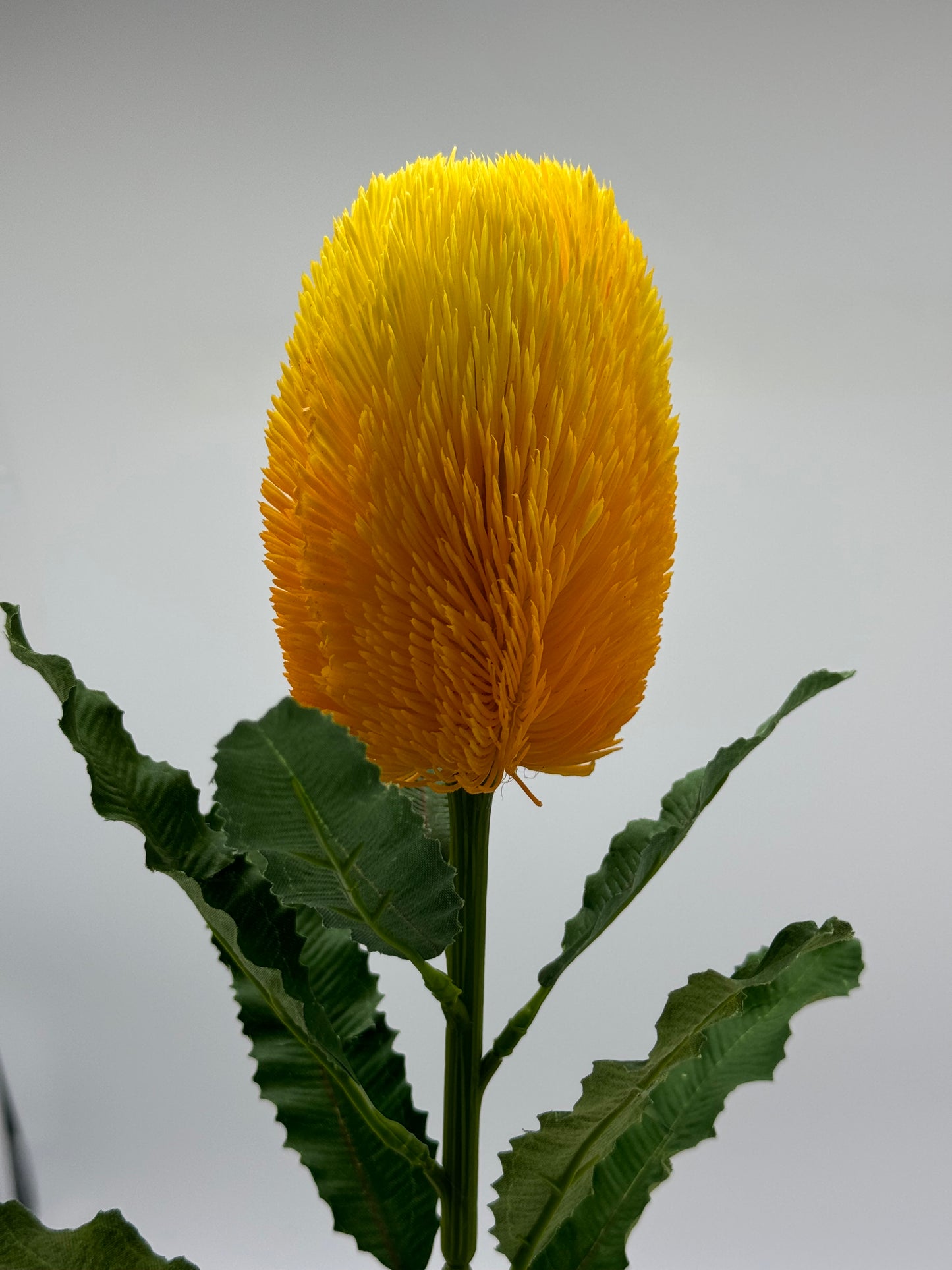 Australian Banksia Yellow Stem Real Touch