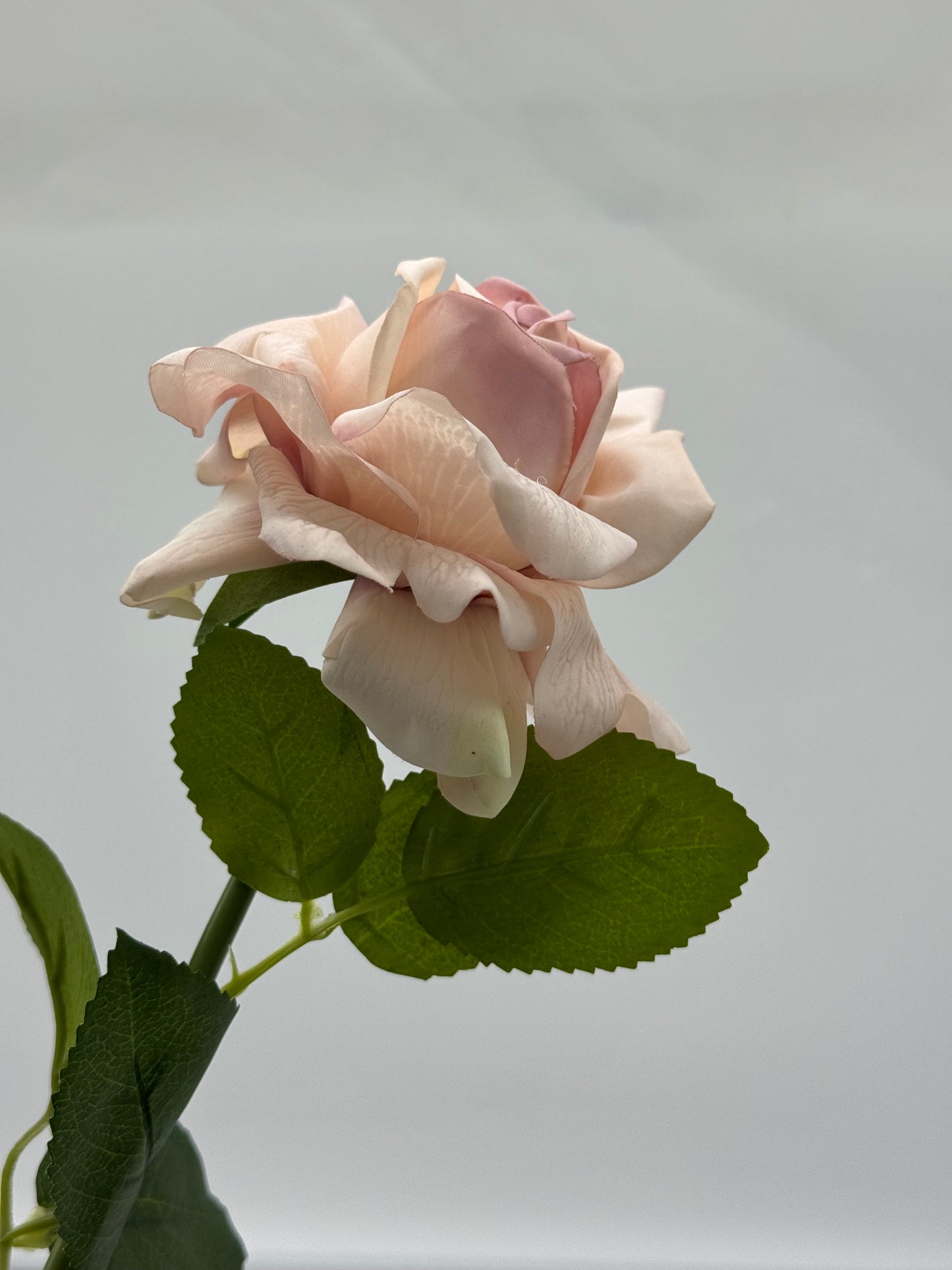 Louis Rose Real Touch Single Stem