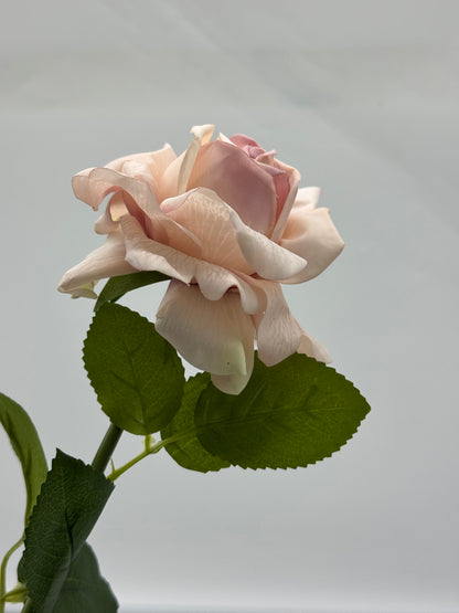 Louis Rose Real Touch Single Stem