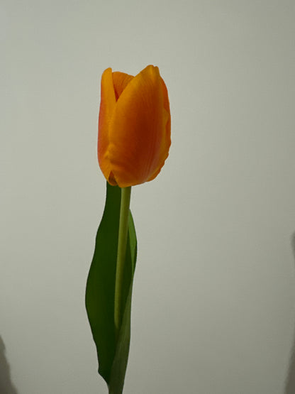 Tulip Real Touch Orange