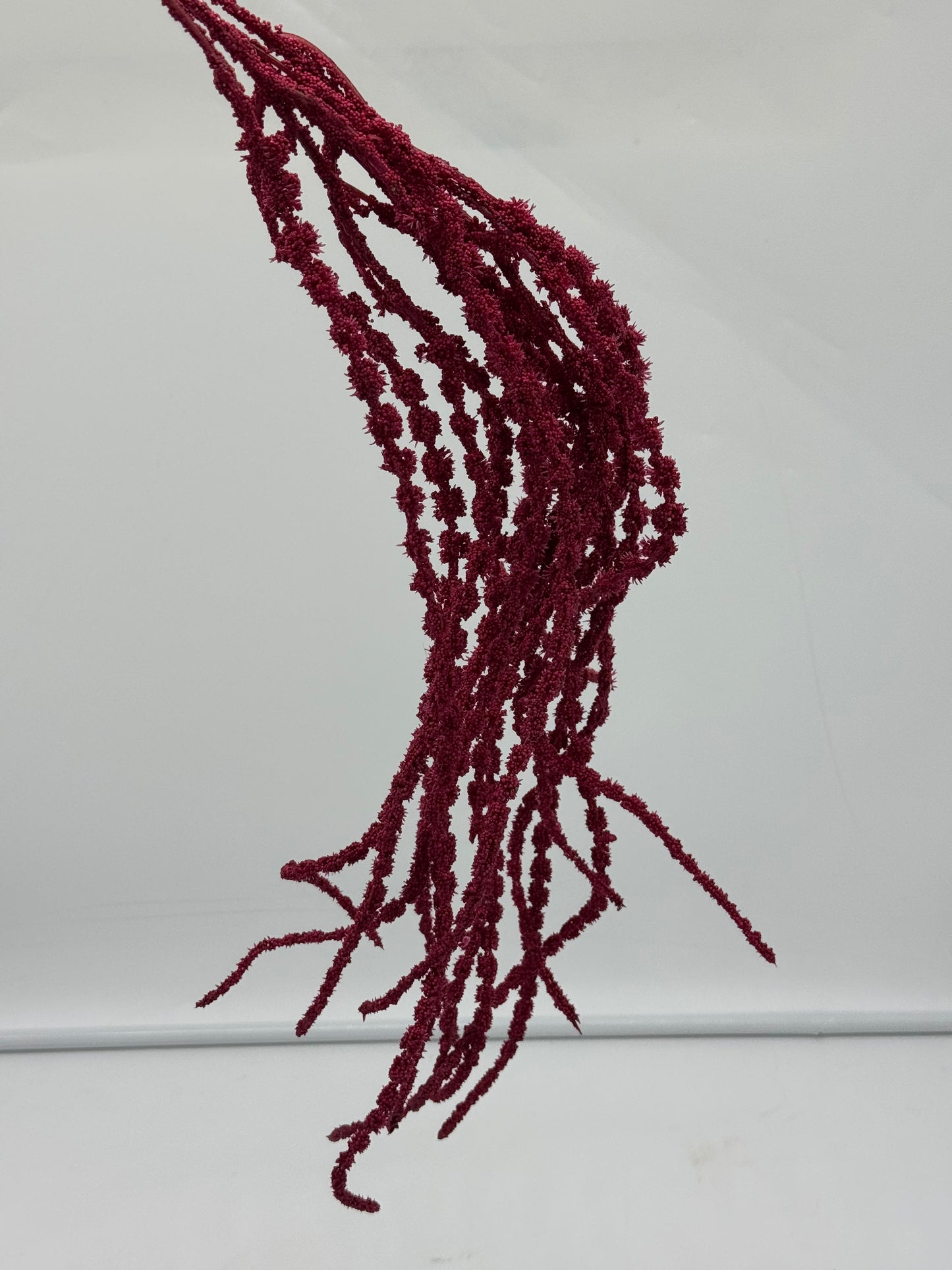Real Touch Amaranthus