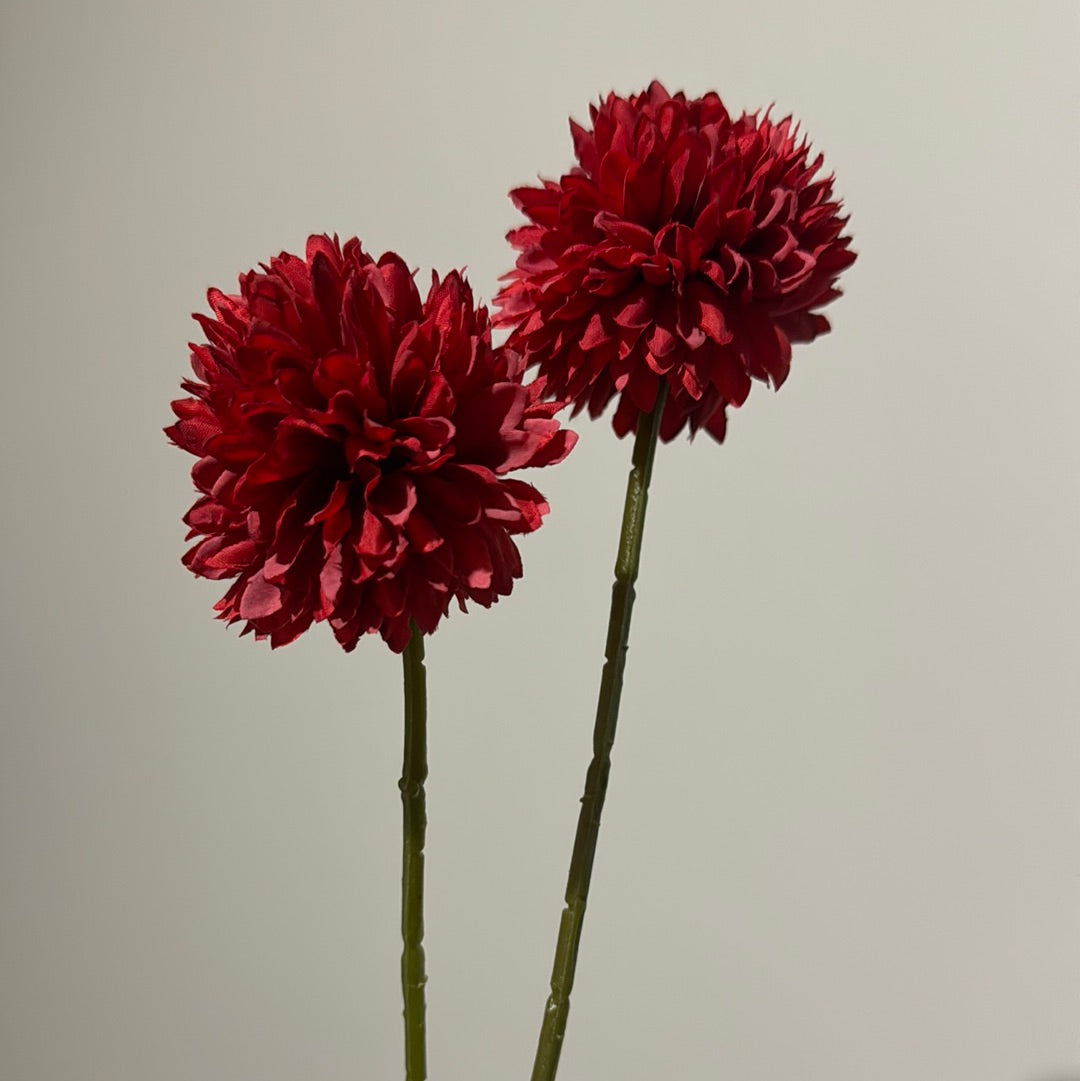 Chrysanthemum 2pc Set Red