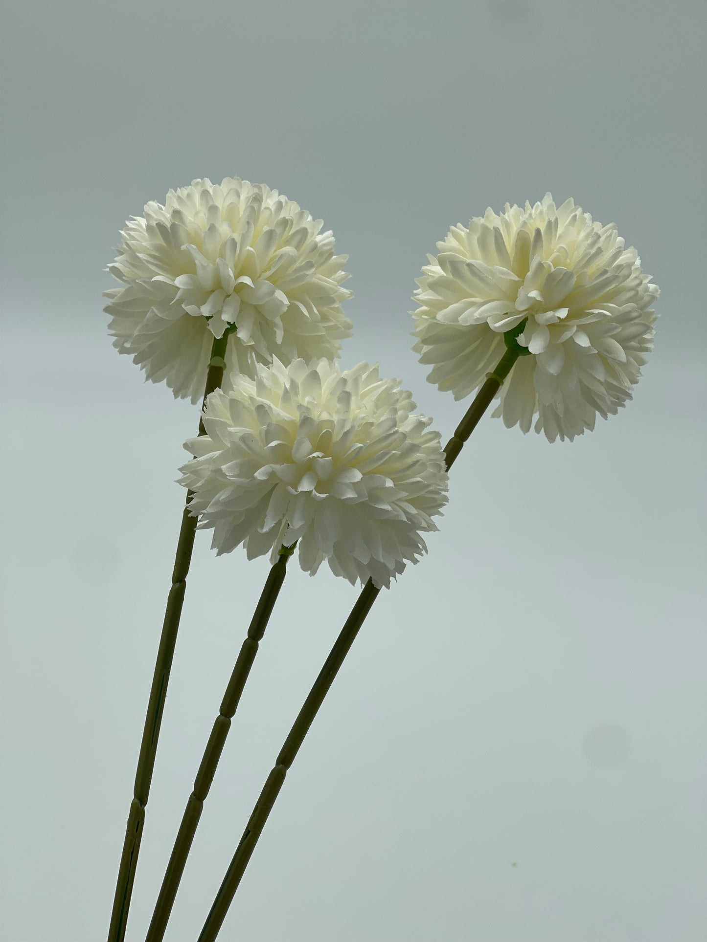 Chrysanthemum 3pc Set White