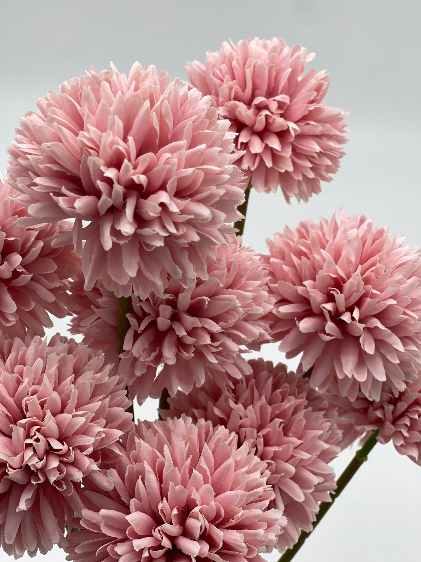 Chrysanthemum 3pc Set Dusty Pink