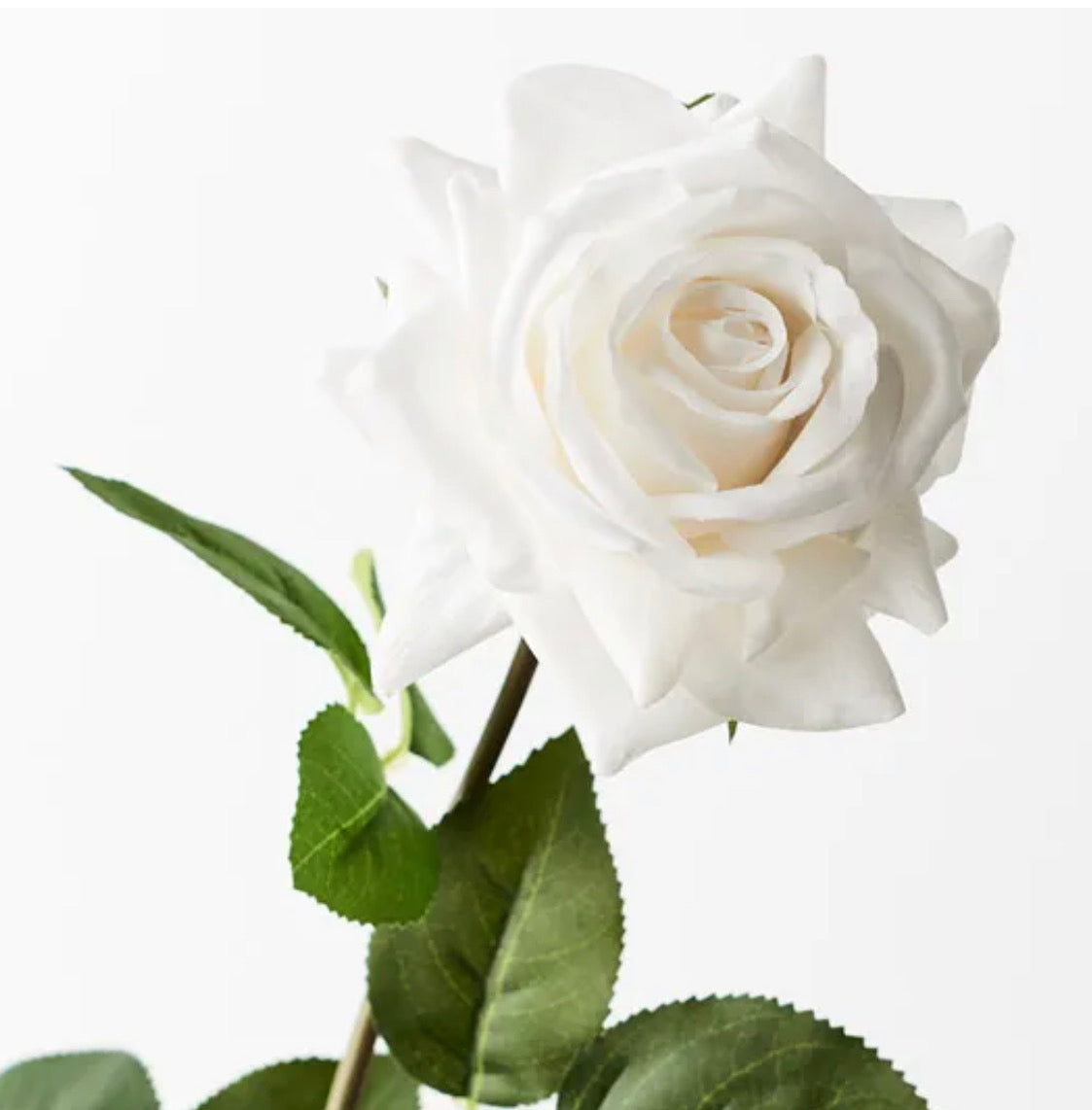 Real Touch Hannah Single Stem Rose Winter White