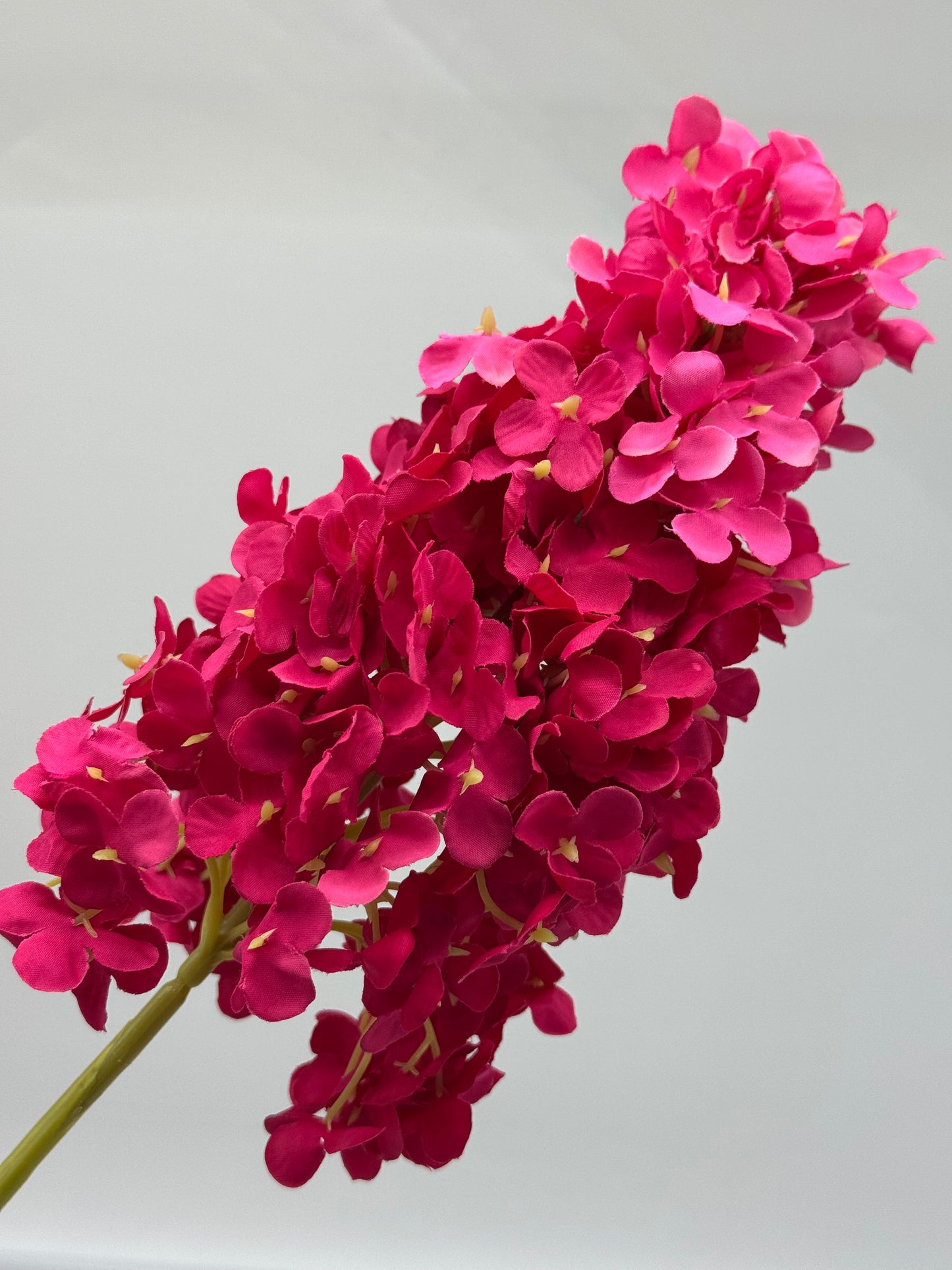 Hydrangea Cone Silk