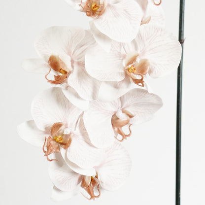 Real Touch Phalaenopsis Orchid Stem