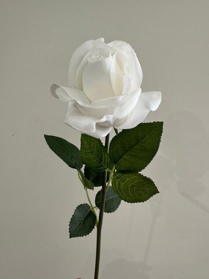 Single Stem Anna Rose Open Bud Real Touch White