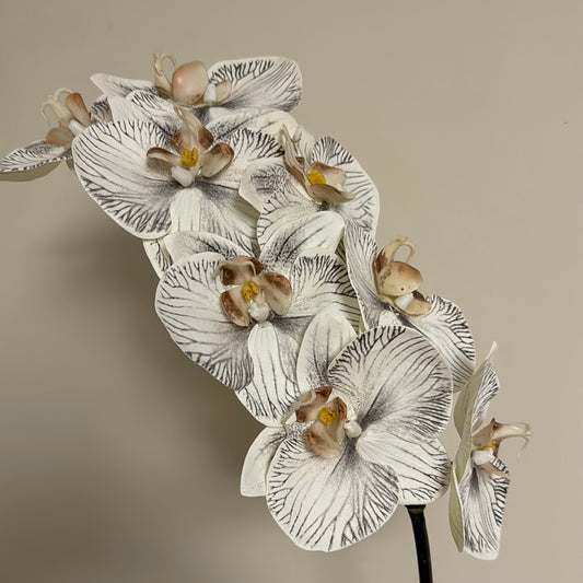 Real Touch Phalaenopsis Orchid Stem White/Black