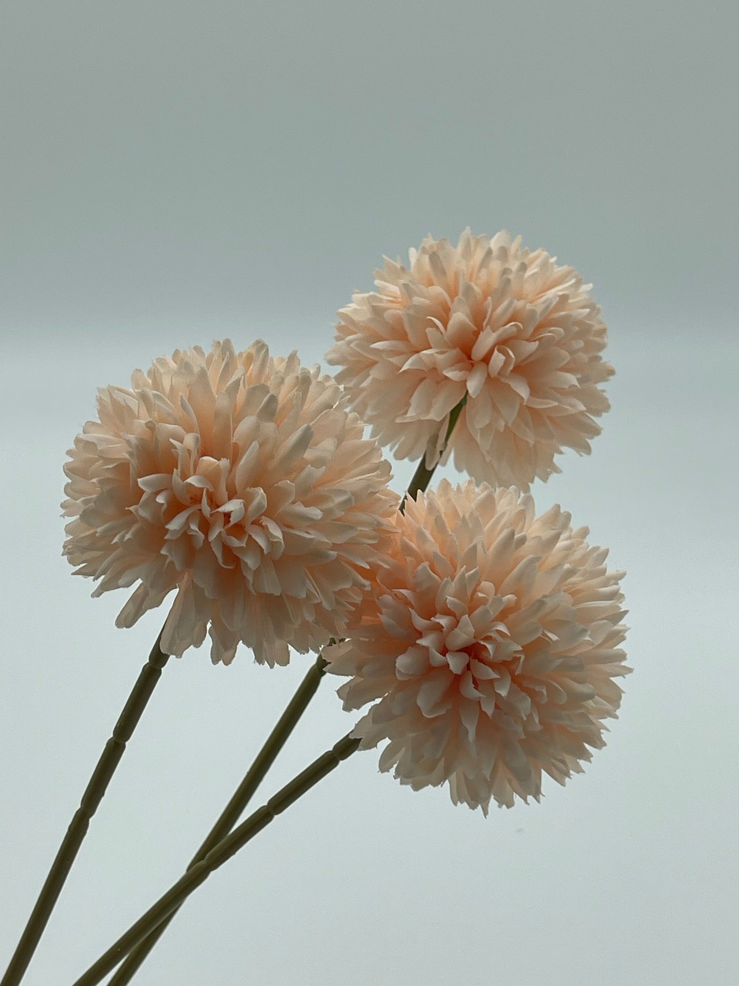 Chrysanthemum 3pc Set Peach