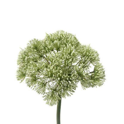 Wild Celery Angelica Flower Plastic Green