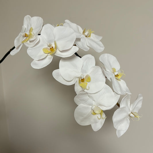 Real Touch Phalaenopsis Orchid Stem White