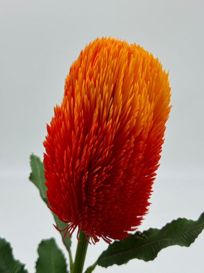 Australian Banksia Orange Stem Real Touch