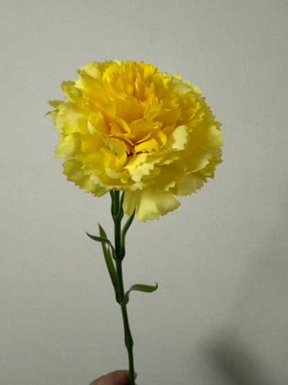 Real Touch Carnation Single Stem Yellow