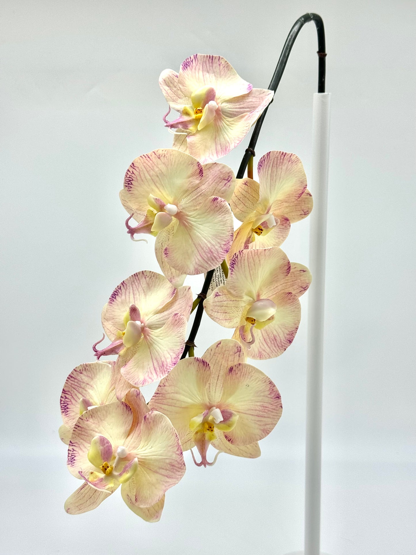 Real Touch Phalaenopsis Orchid Stem Yellow/Pink