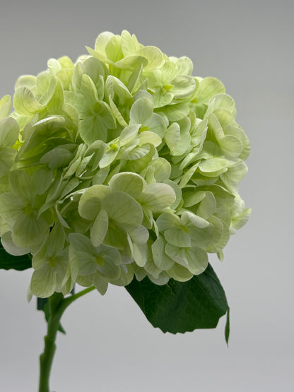 Real Touch Medium Hydrangea Light Green