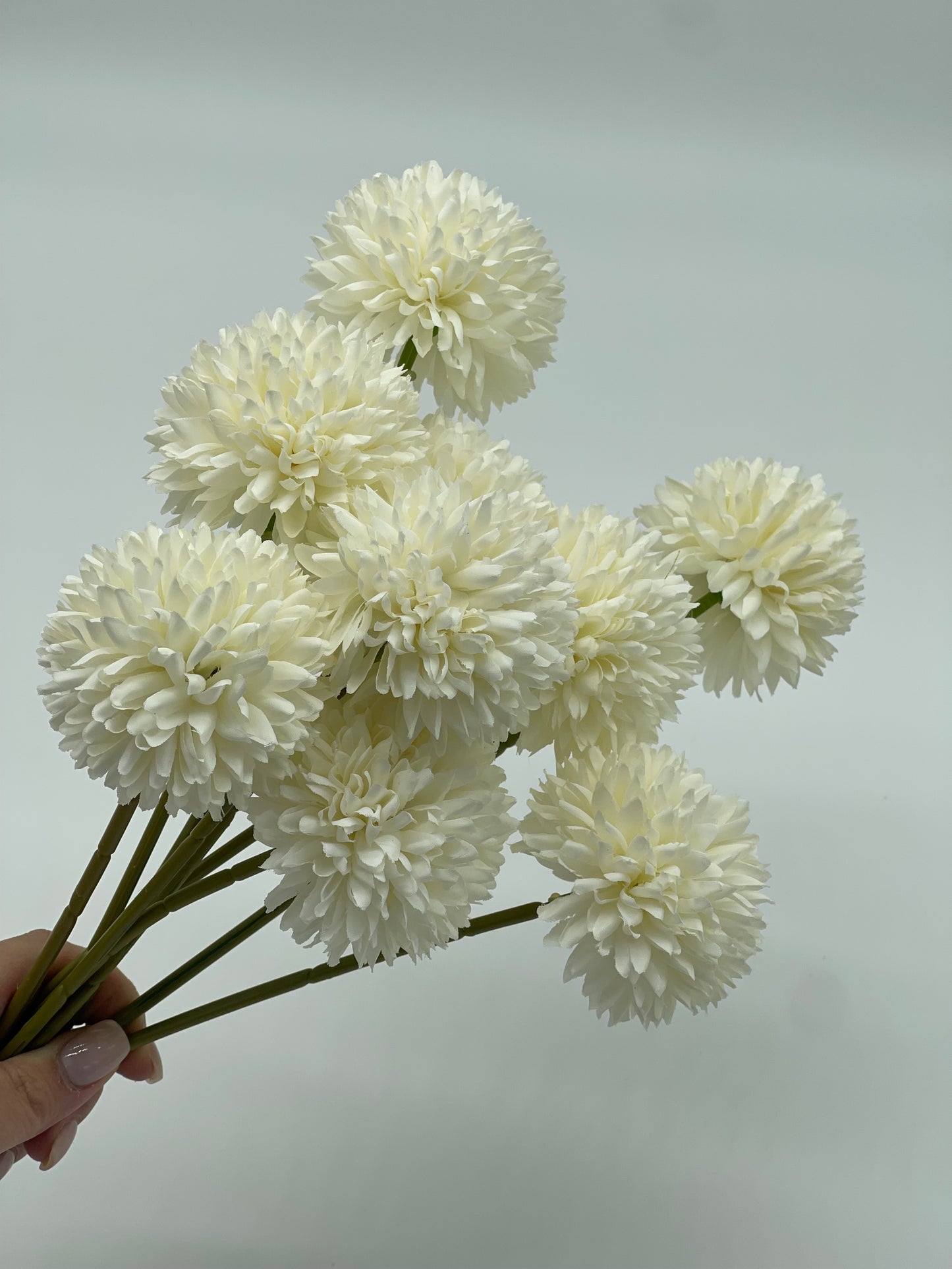 Chrysanthemum 3pc Set White