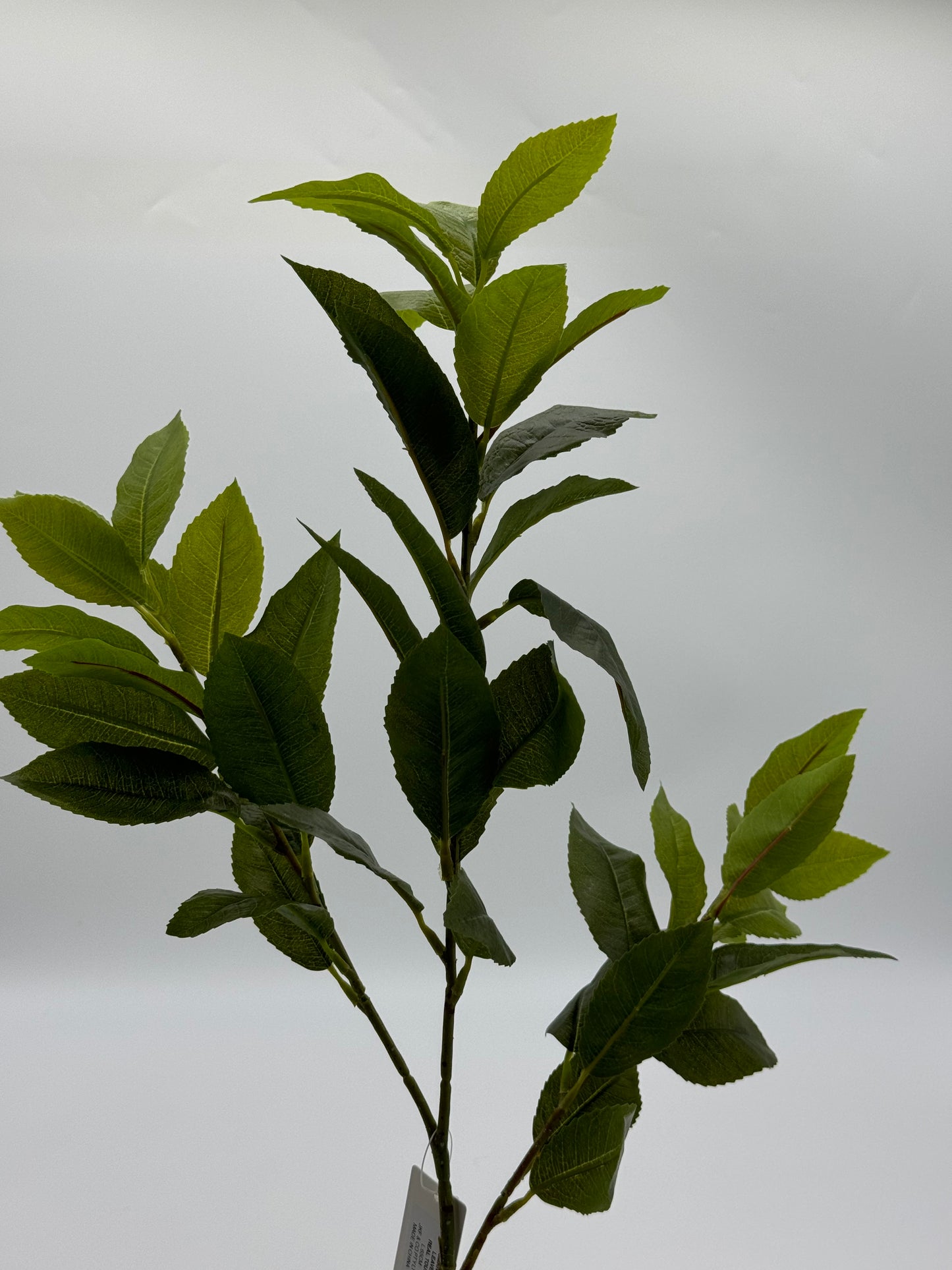 Real Touch Osmanthus Leaves