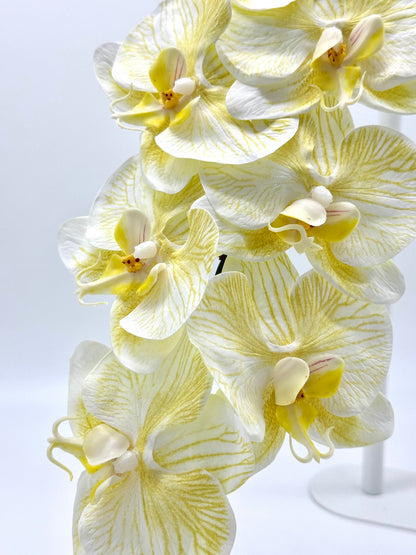 Real Touch Phalaenopsis Orchid Stem Yellow