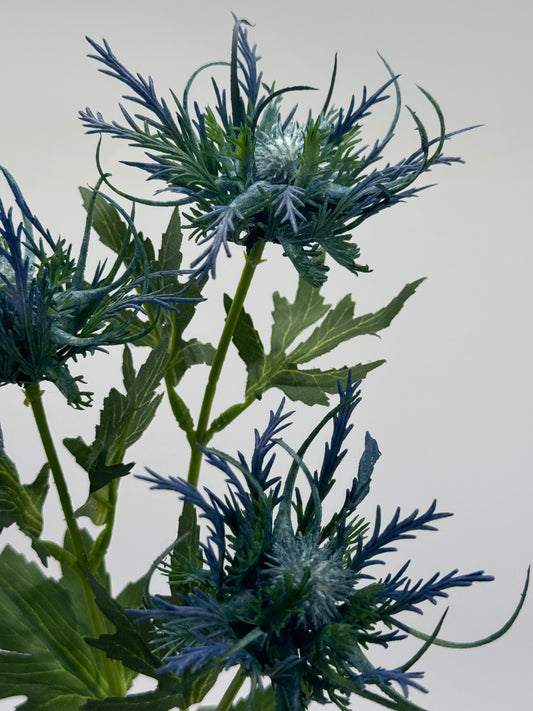 Real Touch Eryngos Eryngium Deep Blue