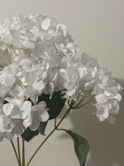 Hydrangeas Spray Winter White