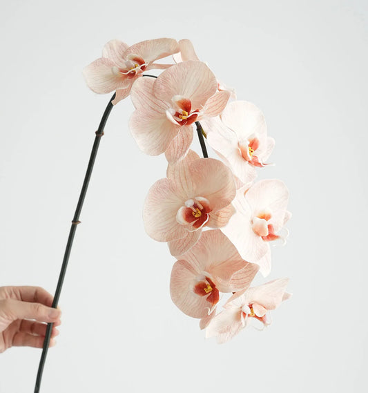 Real Touch Phalaenopsis Orchid Stem Peachy Pink