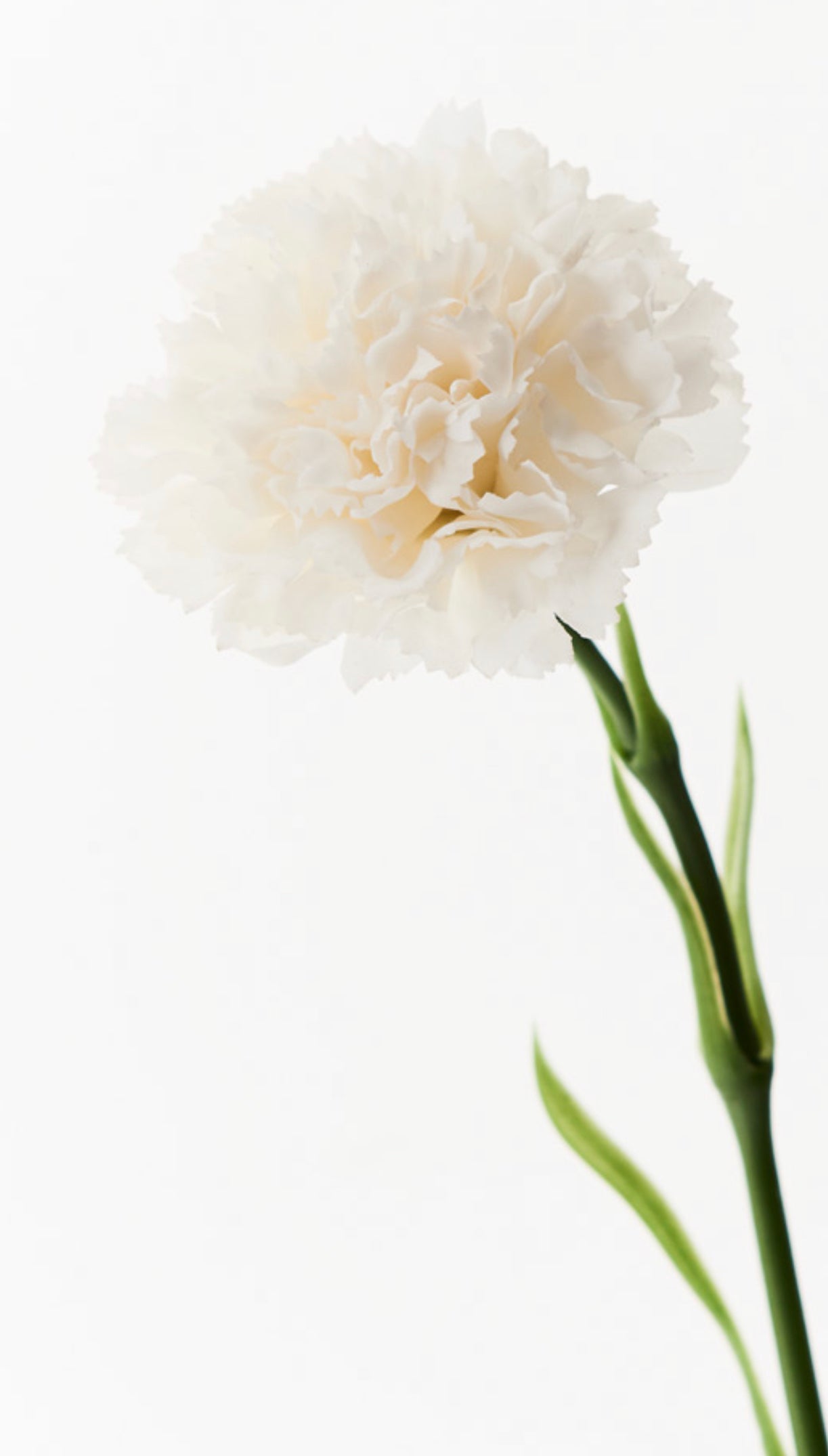 Real Touch Carnation Single Stem Winter White