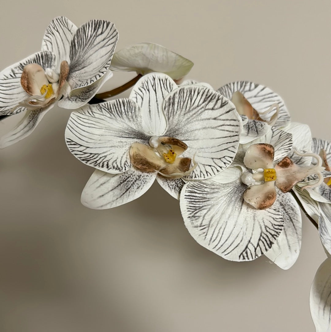 Real Touch Phalaenopsis Orchid Stem White/Black