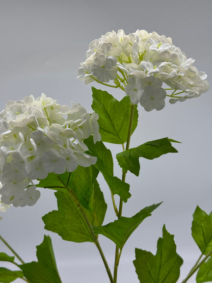 Hydrangeas Spray 5 Real Touch White