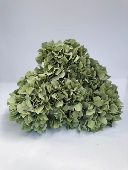 Large 5 Spray Hydrangeas Bush