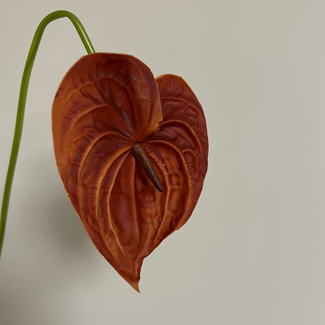 Real Touch Large Anthurium Rust