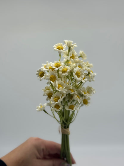 Daisy Mini Bouquet 6pcs White