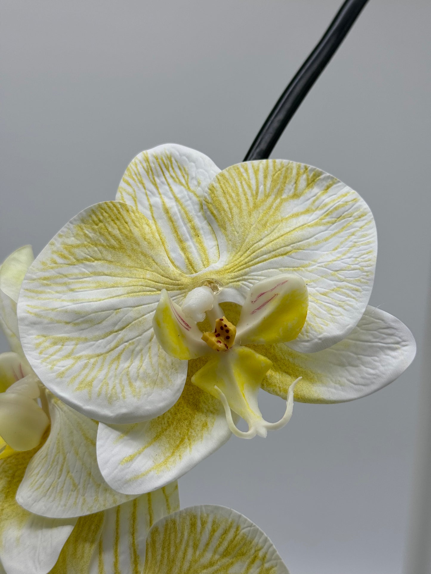 Real Touch Phalaenopsis Orchid Stem Yellow