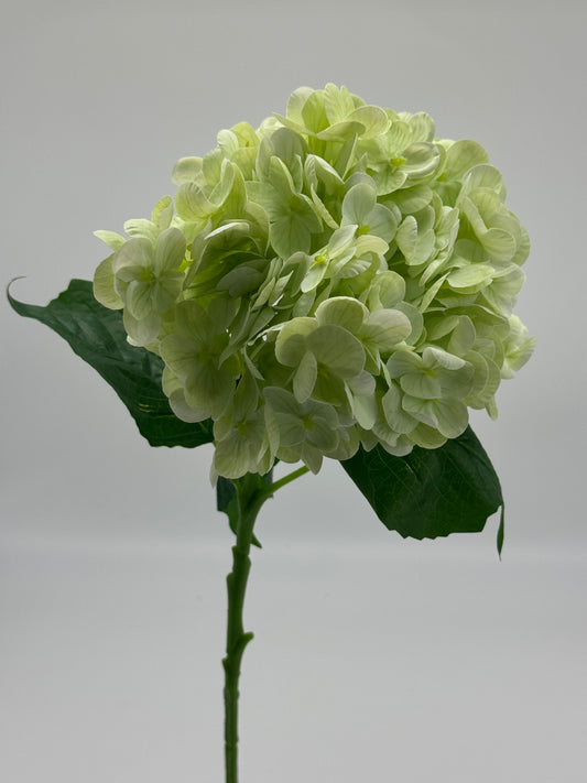 Real Touch Medium Hydrangea Light Green