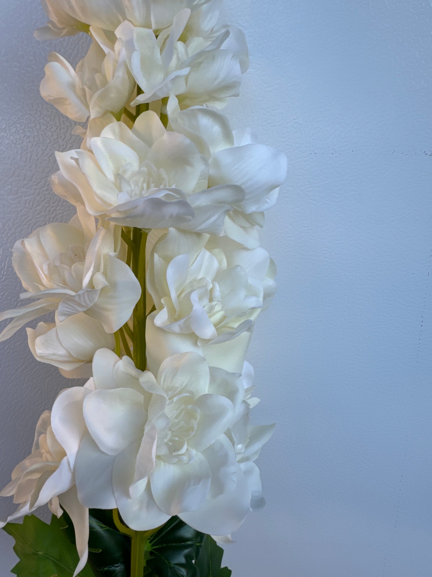 Hyacinth Real Touch Ivory