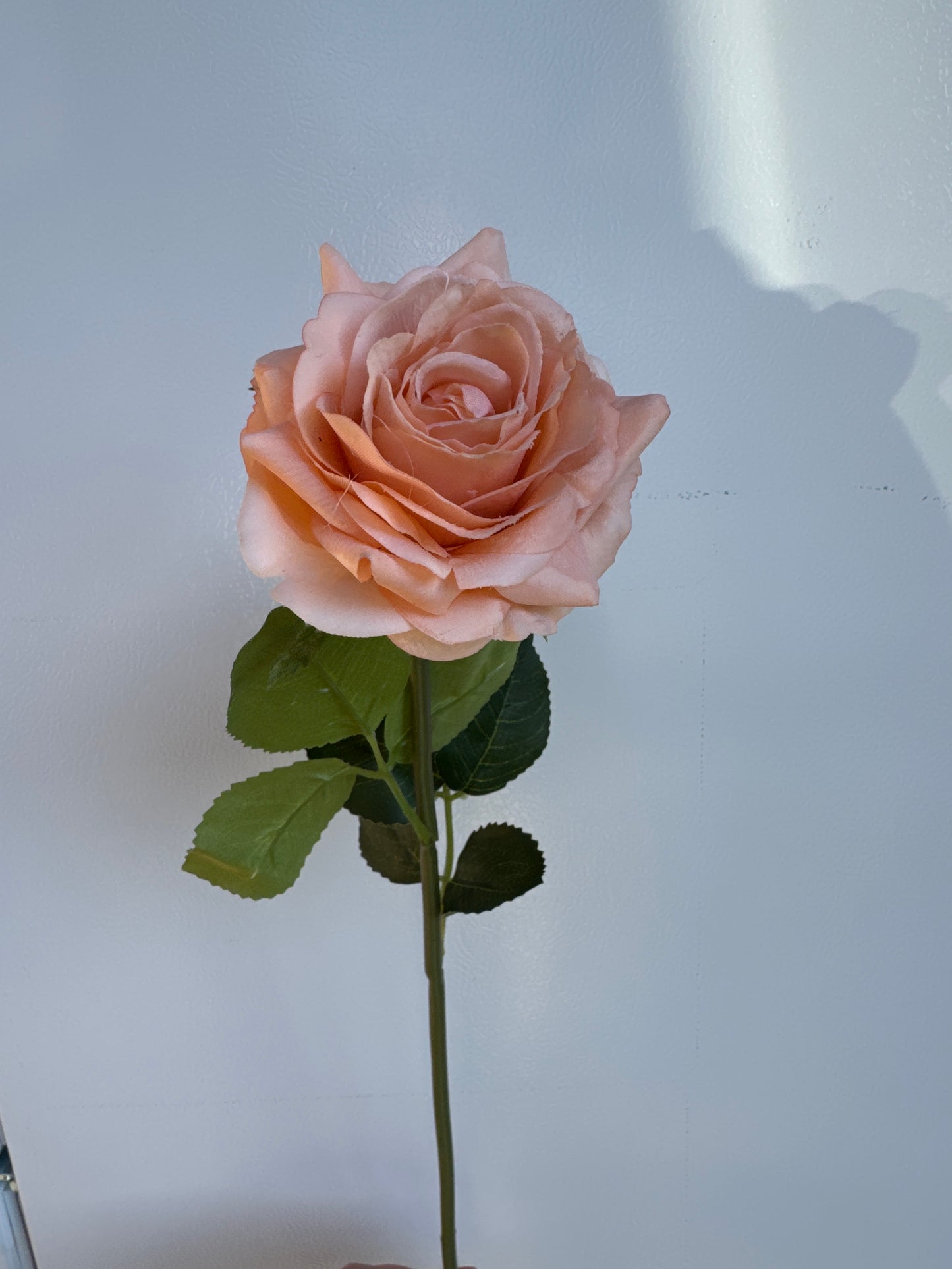 Alice Real Touch Premium Single Stem Rose Peach