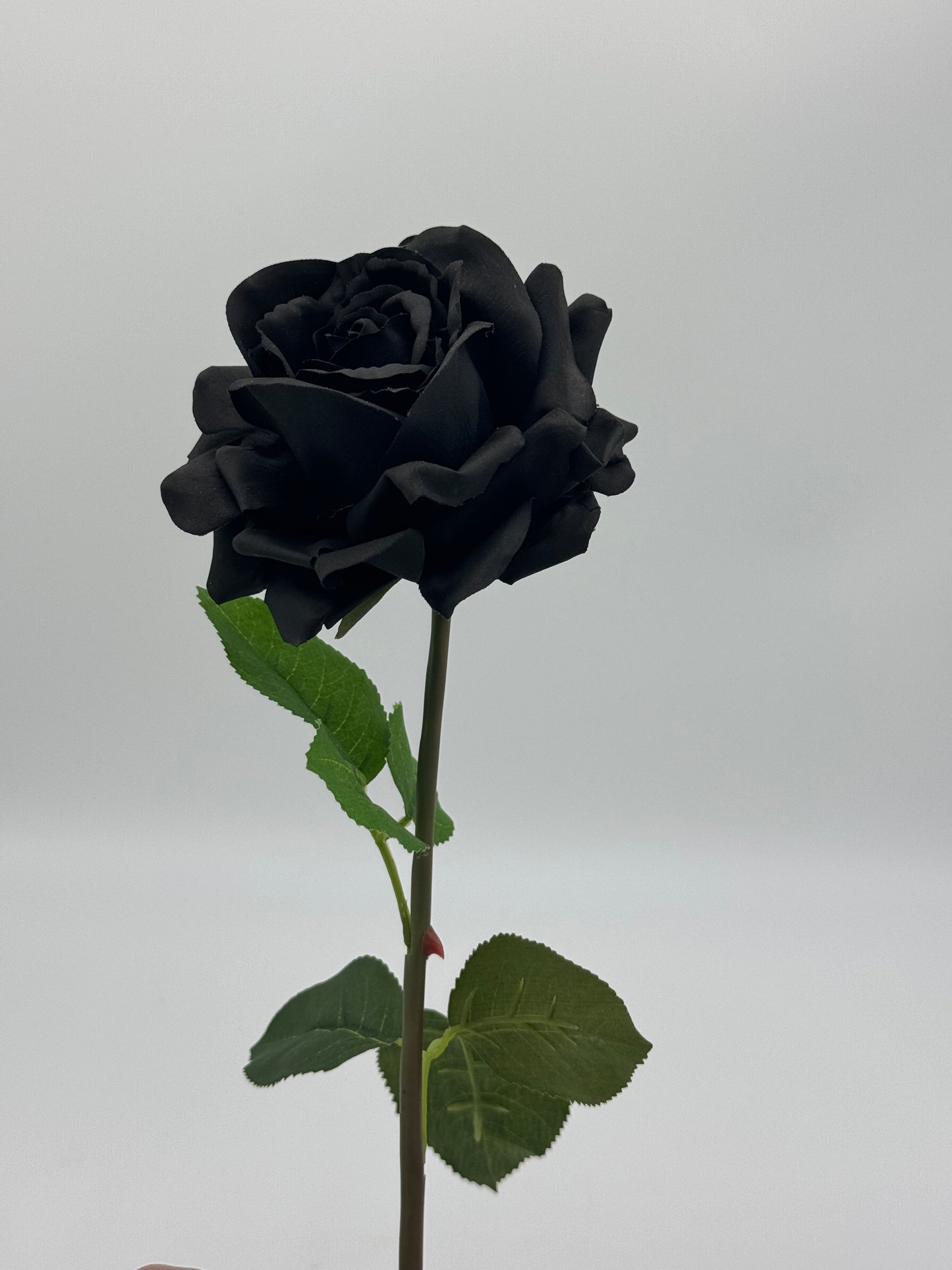 Louis Real Touch Single Stem Rose Black