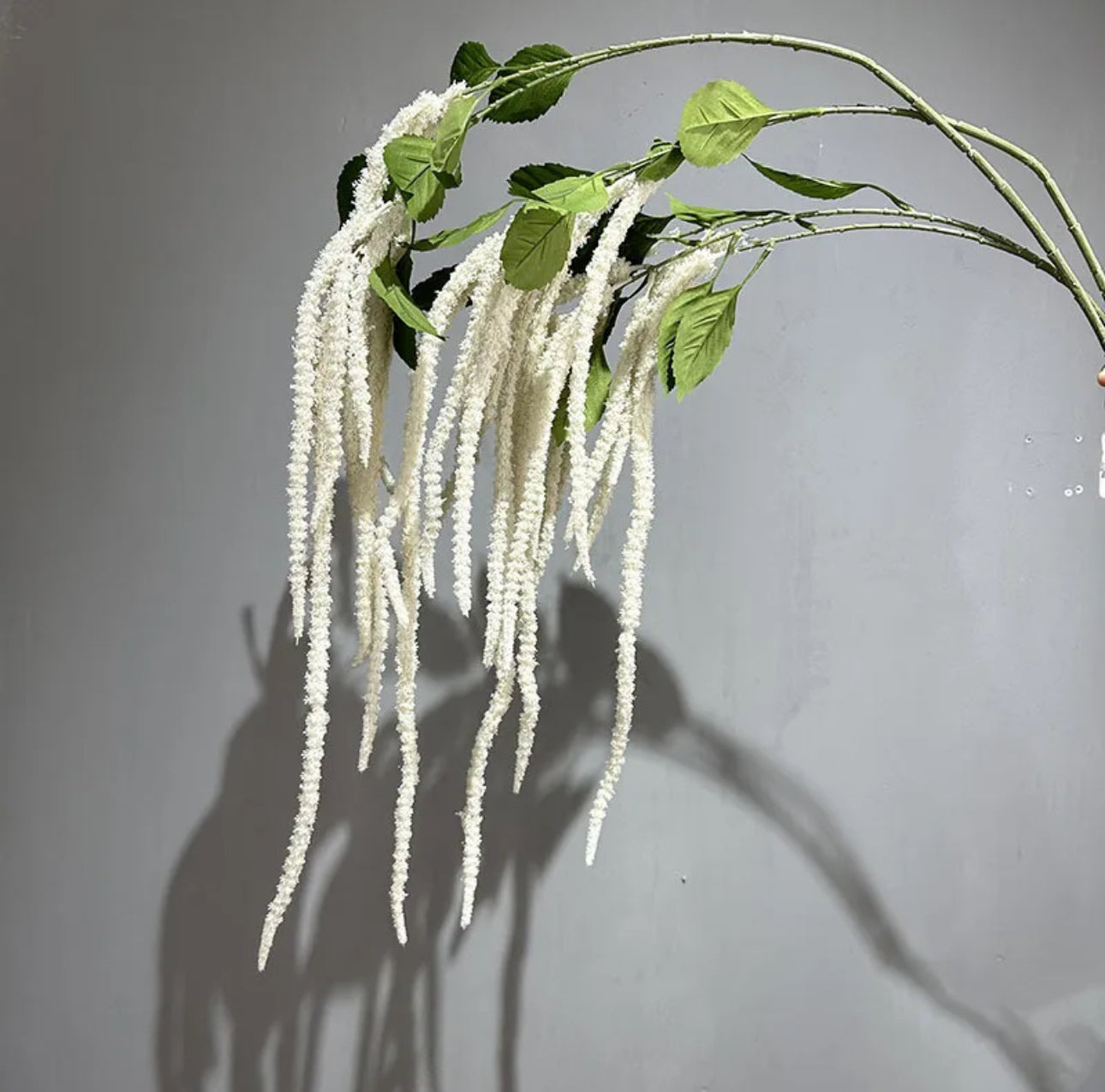 Real Touch Amaranthus White