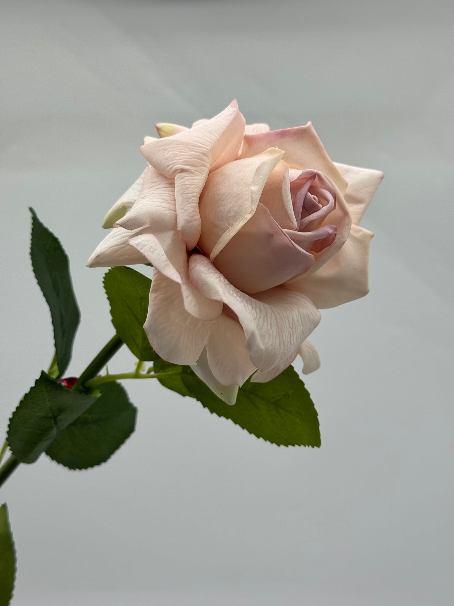 Louis Rose Real Touch Single Stem