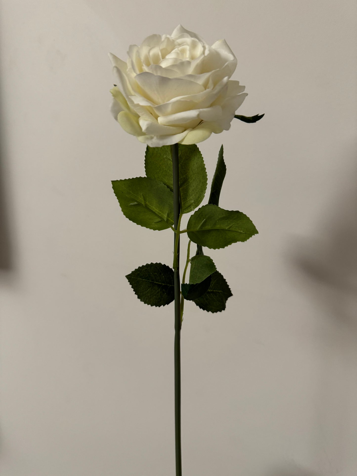 Alice Real Touch Premium Single Stem Rose White