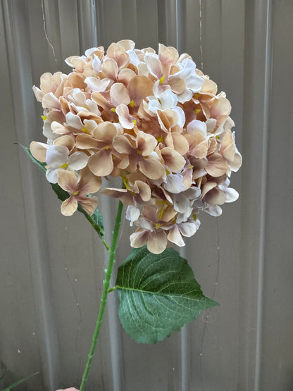 Hydrangea Single Silk