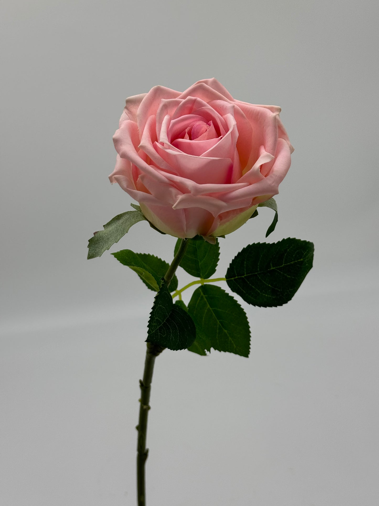 Tricia Real Touch Single Stem Rose Pink