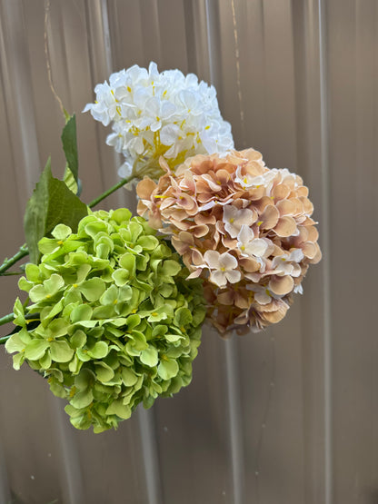 Hydrangea Single Silk
