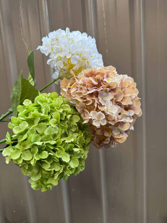 Hydrangea Single Silk