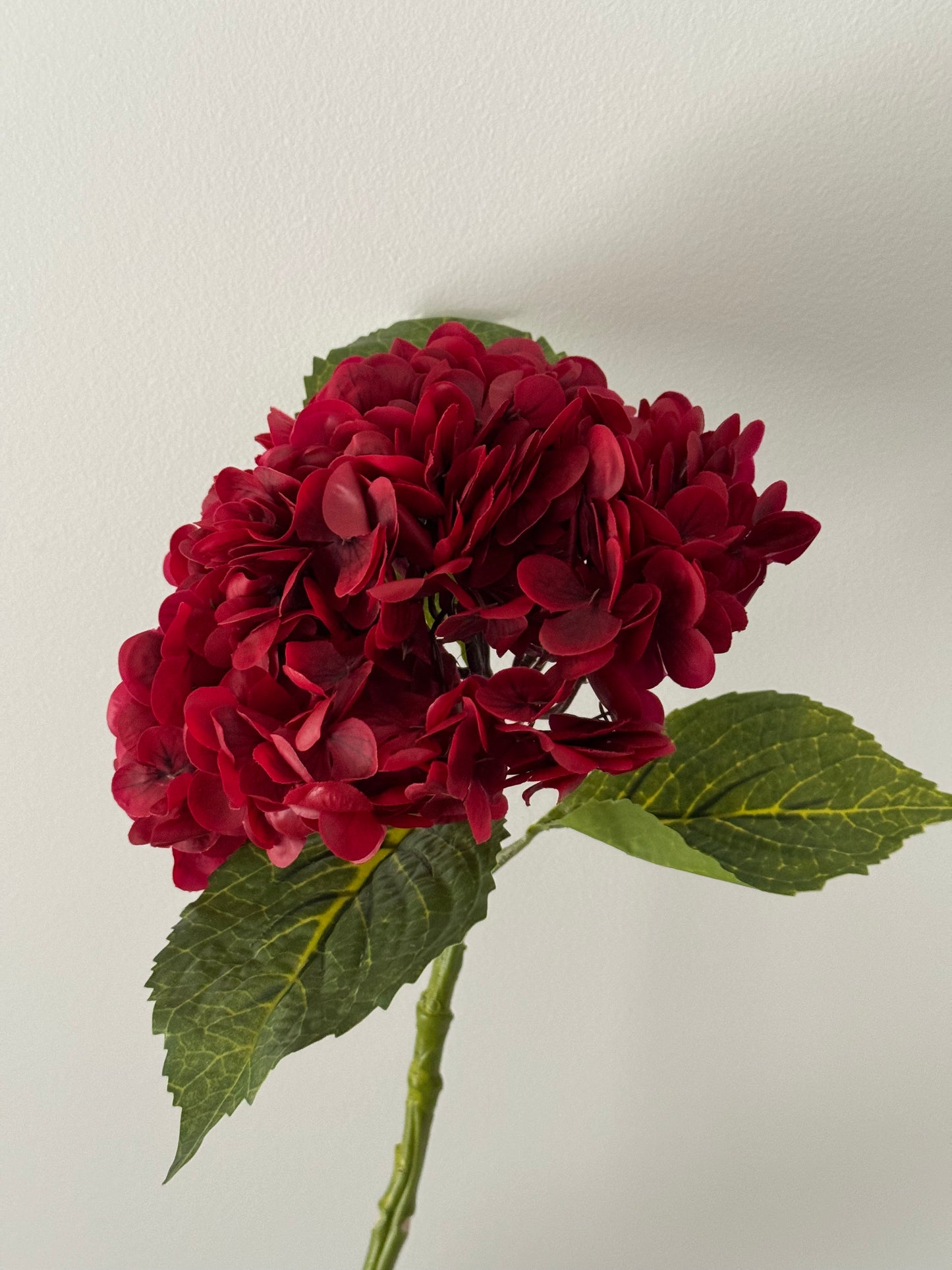 Real Touch Hydrangea White Deep Red