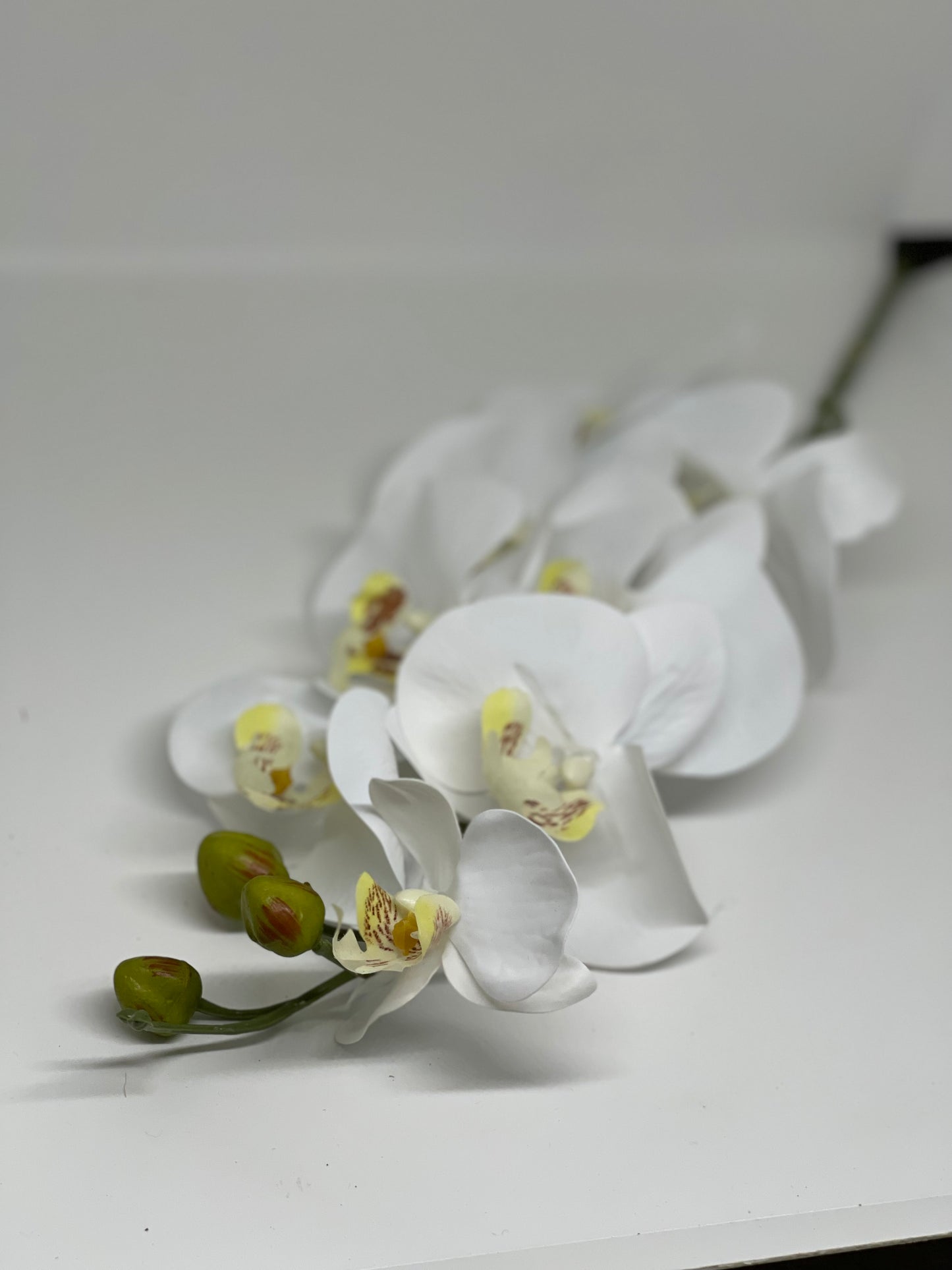 Real Touch Single Stem Phalaenopsis Orchid 9 Heads White