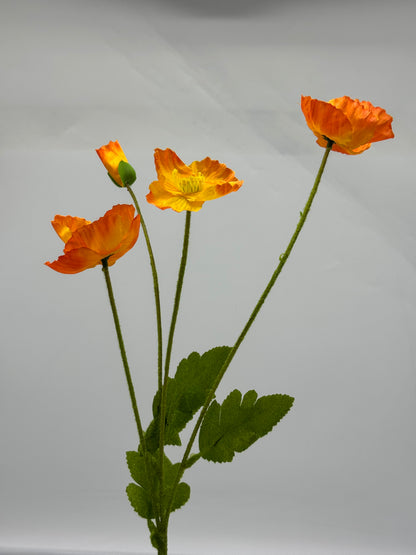 Poppy Spray