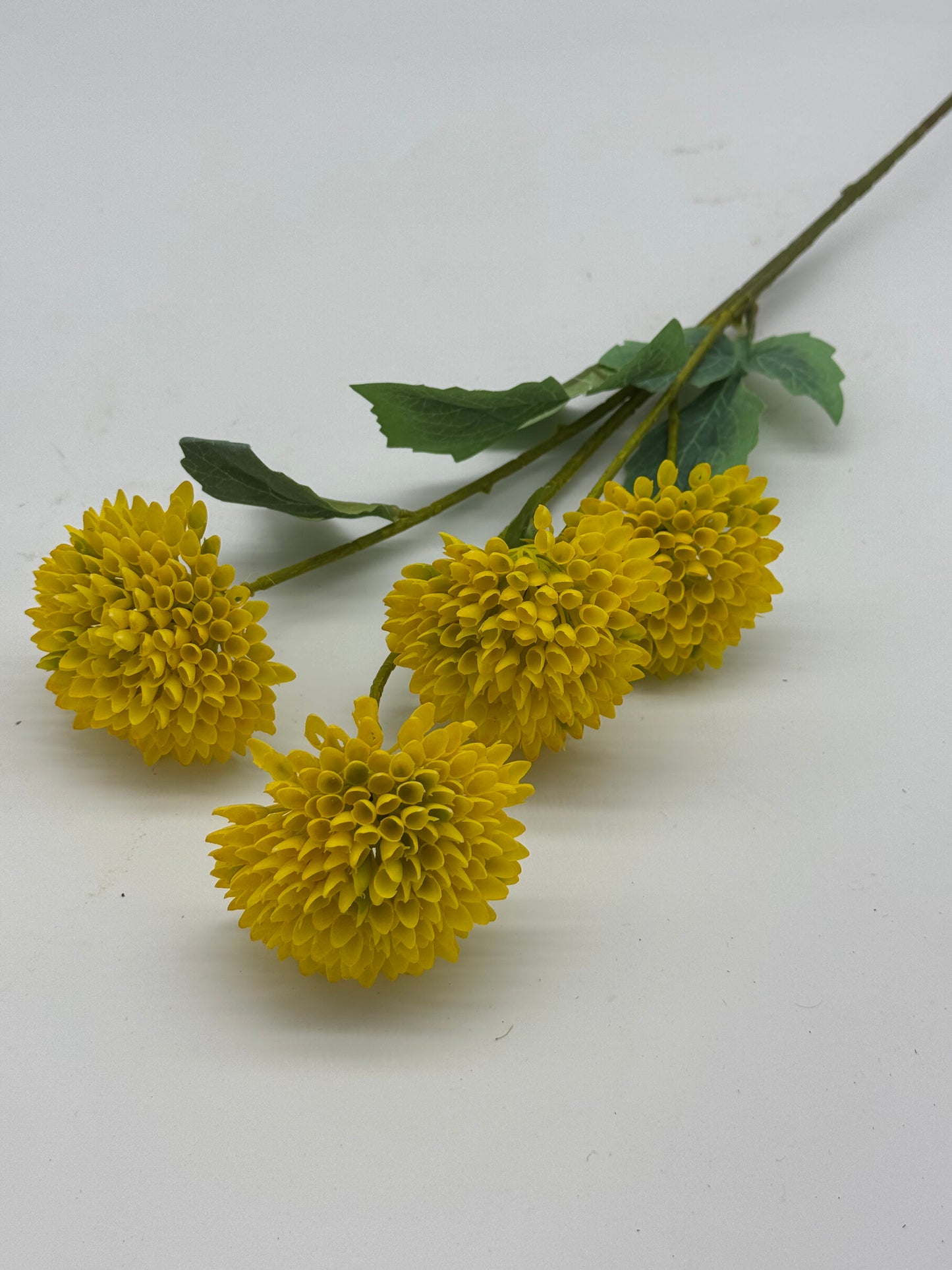 Chrysanthemum Spray 4H