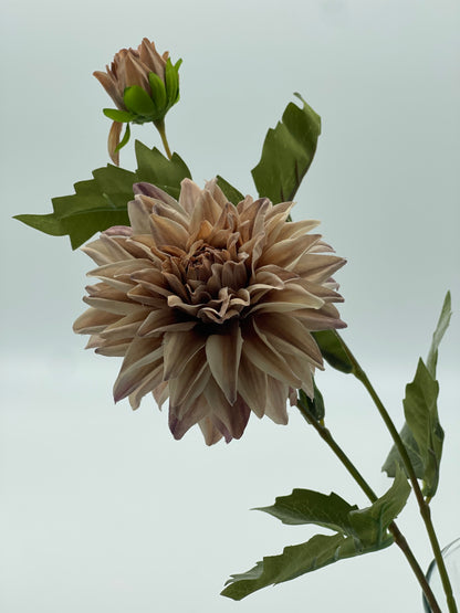 Dahlia 2 Head Spray Fawn